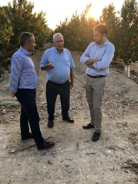 Jesús Cano: El Gobierno regional ha invertido 20 millones de euros en mejorar 380 kilómetros de caminos rurales - 1, Foto 1