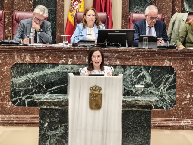 Fernando Moreno: El PP ha comprado el modelo y la indecencia de Mazón y la está aplicando en la Región de Murcia - 3, Foto 3