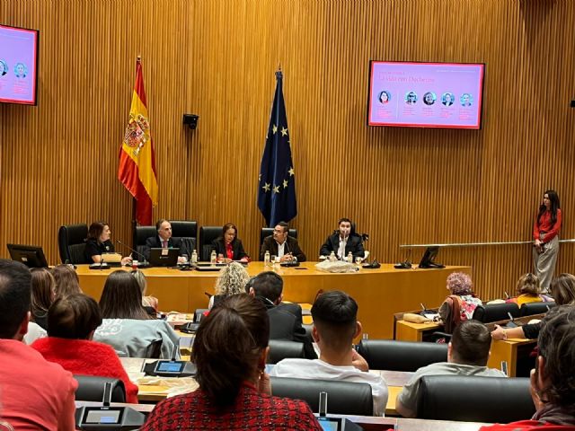 Duchenne Parent Project España pide en el Congreso una regulación específica para pacientes con Duchenne - 1, Foto 1