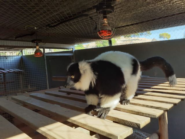 Terra Natura Murcia enciende la calefacción a los animales y les diseña dietas más calóricas para el invierno - 1, Foto 1