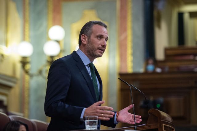 El PP defiende la plena vigencia de la Constitución como garantía de la libertad e igualdad de todos los españoles - 1, Foto 1