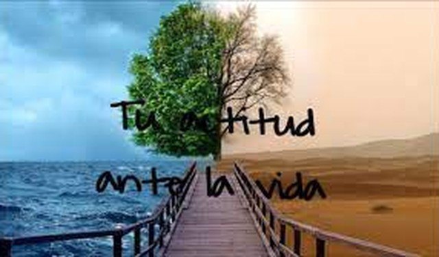 Tu actitud ante la vida - 1, Foto 1