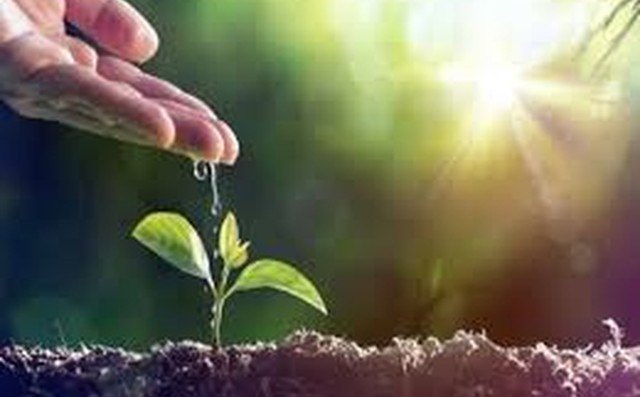 La compasión - 1, Foto 1