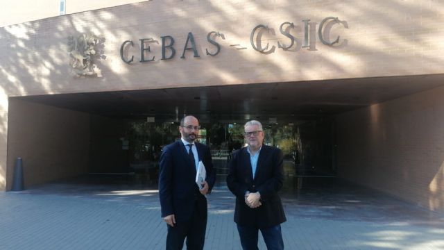 El INFO y el Cebas-Csic colaborarán para incrementar la transferencia de conocimiento al sector agroalimentario - 1, Foto 1