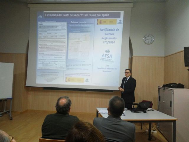 Una tesis de la UPCT indica el punto de hambre que hace más eficaces a las aves rapaces de los aeropuertos - 1, Foto 1