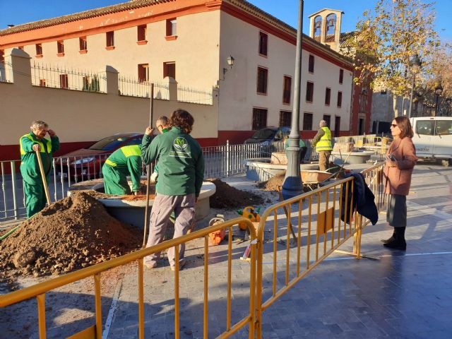 El Ayuntamiento sustituye los siete árboles que llevaban varios años talados en La Corredera por nuevas especies - 1, Foto 1