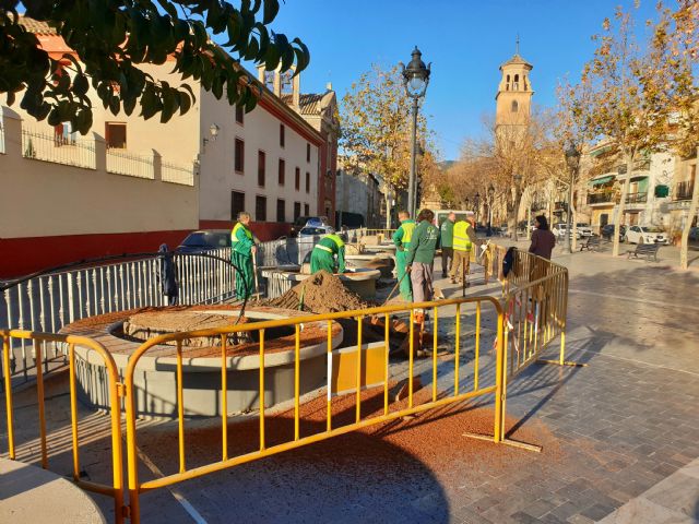 El Ayuntamiento sustituye los siete árboles que llevaban varios años talados en La Corredera por nuevas especies - 2, Foto 2