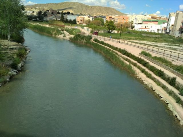 Fin del programa de los Consejos Comarcales de Empleo 2019 con el que se han realizado numerosos trabajos de mejora en Cieza - 1, Foto 1