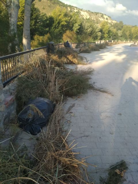 Fin del programa de los Consejos Comarcales de Empleo 2019 con el que se han realizado numerosos trabajos de mejora en Cieza - 2, Foto 2