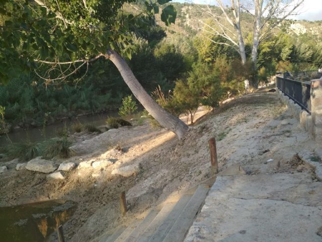 Fin del programa de los Consejos Comarcales de Empleo 2019 con el que se han realizado numerosos trabajos de mejora en Cieza - 3, Foto 3