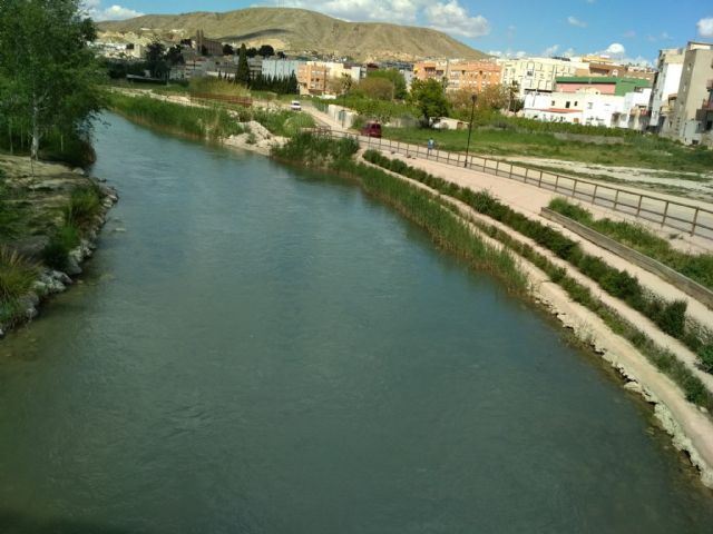 Fin del programa de los Consejos Comarcales de Empleo 2019 con el que se han realizado numerosos trabajos de mejora en Cieza - 4, Foto 4