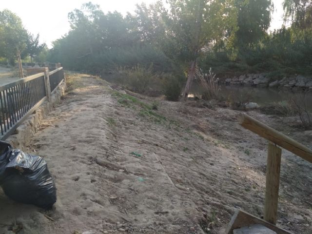 Fin del programa de los Consejos Comarcales de Empleo 2019 con el que se han realizado numerosos trabajos de mejora en Cieza - 5, Foto 5