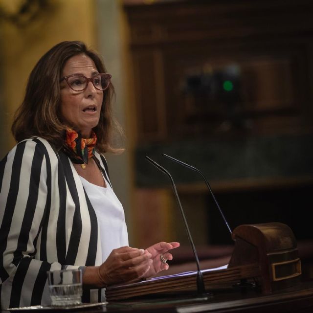 Borrego: Sánchez entrega el futuro de España a Bildu y ERC, lo que significa más castigo a la Región - 1, Foto 1