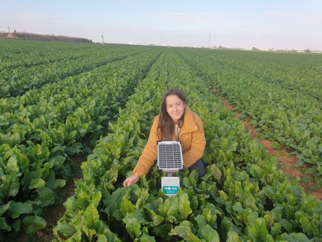 El 31% de los alumnos que hacen prácticas consigue un contrato de trabajo - 1, Foto 1