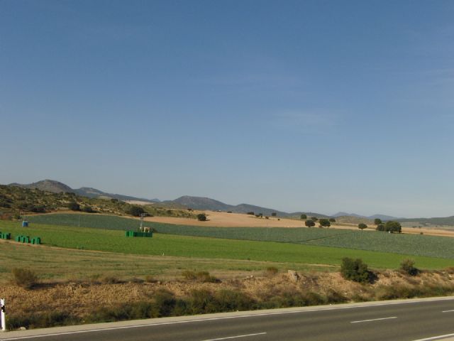 Las superficies de cultivos hortícolas en intensivo en Caravaca han aumentado un 80% en diez años (2011 a 2021) - 1, Foto 1