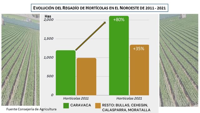 Las superficies de cultivos hortícolas en intensivo en Caravaca han aumentado un 80% en diez años (2011 a 2021) - 4, Foto 4