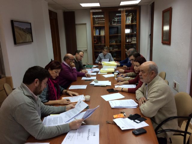 La Junta de Gobierno Local de Molina de Segura adjudica los servicios de respiro familiar y comidas a domicilio - 2, Foto 2