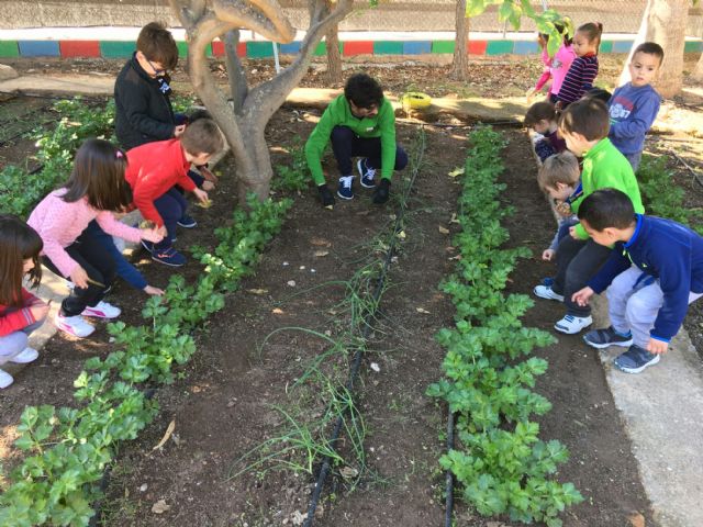 Alumnos del programa mixto de Empleo y Formación se implican con los huertos escolares - 2, Foto 2