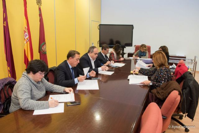 Adjudicadas la poda de palmeras y el tratamiento de la procesionaria - 1, Foto 1