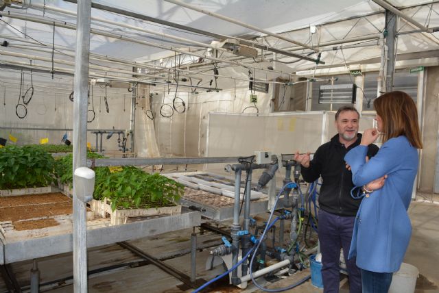 La alcaldesa asegura que la agricultura aguileña está a la vanguardia del control biológico de plagas - 1, Foto 1