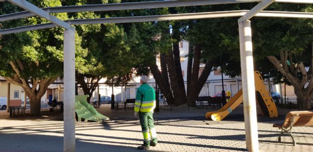 Sermubeniel y el Ayuntamiento de Beniel inician una campaña de mantenimiento de los Ficus del municipio - 2, Foto 2