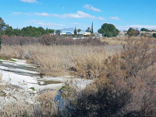 Cs exige a José Ballesta una solución definitiva que ponga fin al deterioro de la Contraparada y su entorno - 2, Foto 2