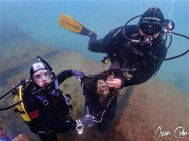 Brave Divers, la primera plataforma online para buceadores - 2, Foto 2