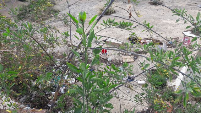 El Partido Popular propone la creación de un parque público con jardín vertical - 2, Foto 2