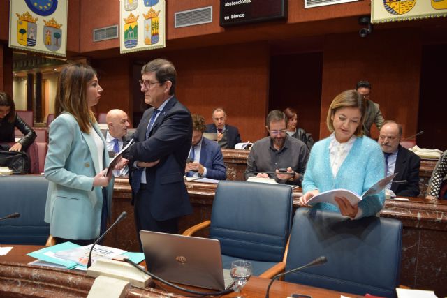 El PP destaca los programas preventivos, el refuerzo de personal y la reducción de las listas de espera en los presupuestos de Salud - 1, Foto 1