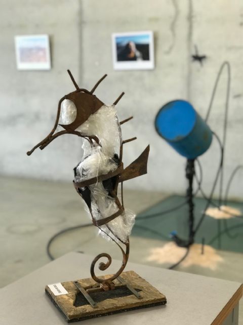 Mar & Plásticos. Artistas por el Mar Menor - 1, Foto 1