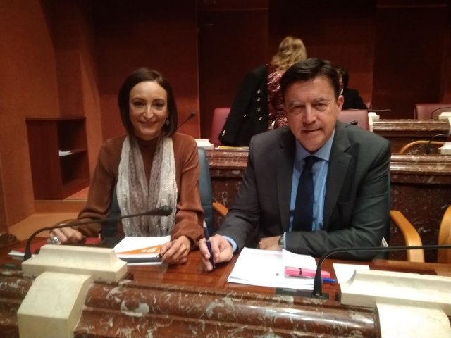 Ciudadanos pide a Salud que ejecute las recomendaciones del Tribunal de Cuentas para mejorar la eficiencia del gasto - 1, Foto 1