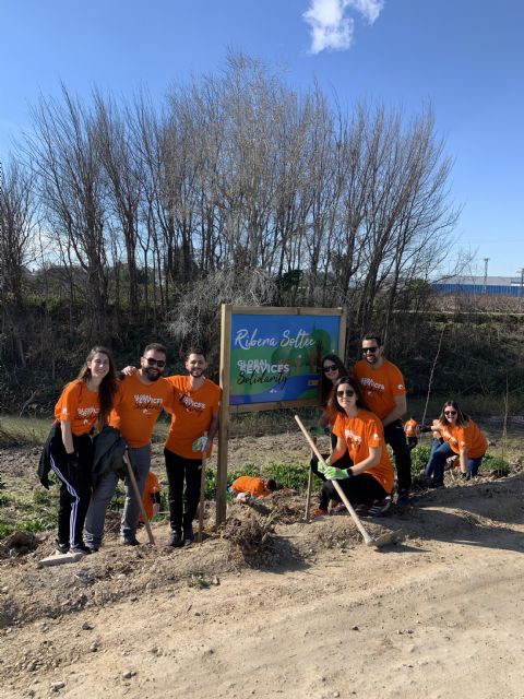 Voluntarios de Soltec reforestan la orilla del río Segura a su paso por Molina junto con ANSE y la CHS - 1, Foto 1