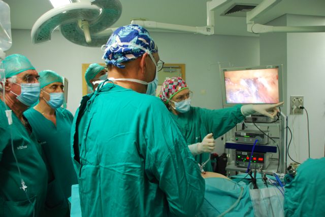 Vithas forma a cirujanos en el tratamiento endoscópico de la hernia inguinal - 1, Foto 1