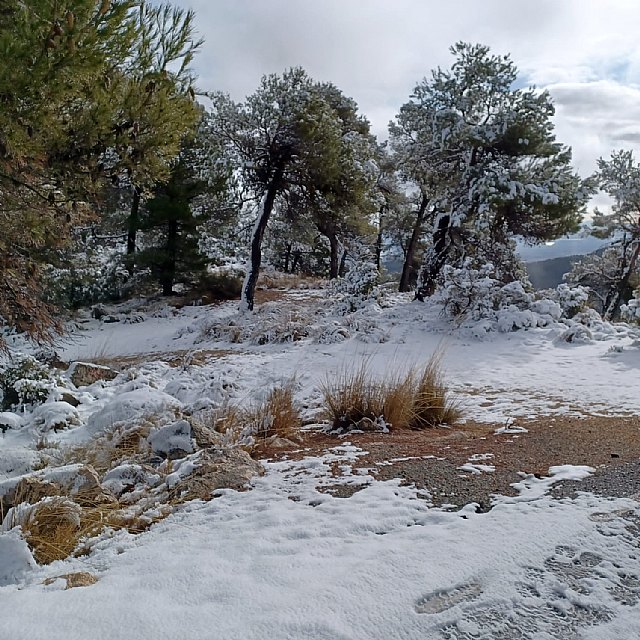 Nieve en Sierra Espuña, Foto 5