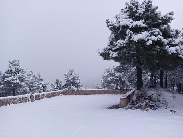 Nieve en Sierra Espua, Foto 6