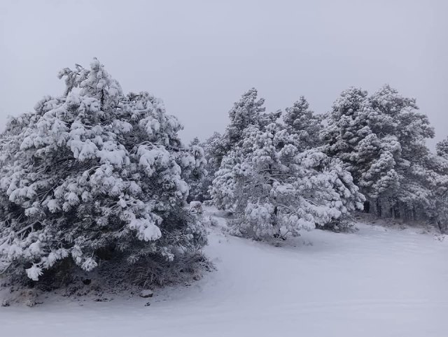 Nieve en Sierra Espuña, Foto 8