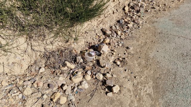 El PSOE de Lorca denuncia el lamentable estado de abandono del carril bici de la Avenida Fuerzas Armadas - 2, Foto 2
