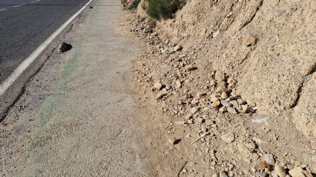 El PSOE de Lorca denuncia el lamentable estado de abandono del carril bici de la Avenida Fuerzas Armadas - 3, Foto 3