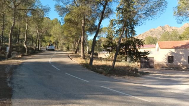Comienza la campaña contra la procesionaria del pino en Jumilla - 1, Foto 1