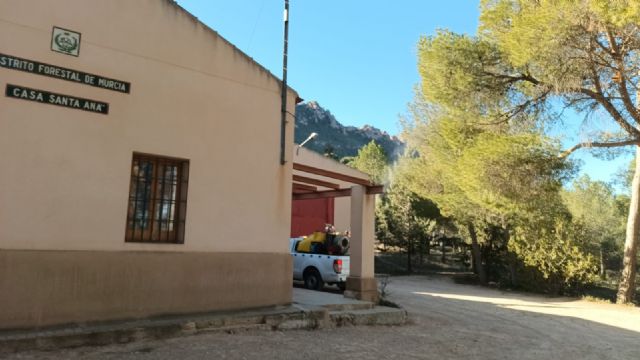 Comienza la campaña contra la procesionaria del pino en Jumilla - 2, Foto 2