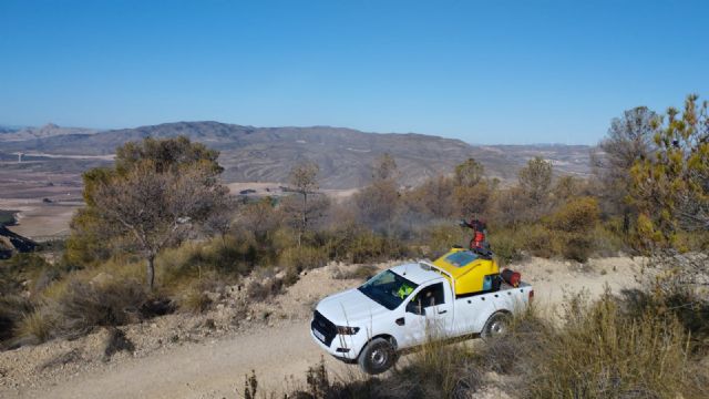 Comienza la campaña contra la procesionaria del pino en Jumilla - 3, Foto 3
