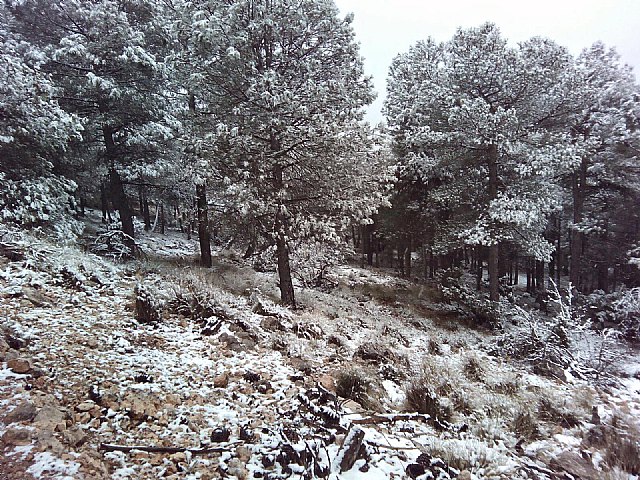 Las primeras nieves del invierno llegan a las cotas más altas del parque regional de Sierra Espuña, Foto 3