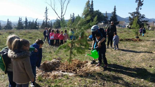 Alumnos del Colegio Castellar plantan pinos en la zona de Los Cantos - 2, Foto 2