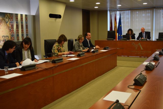 La Asamblea insta al Gobierno de España a revisar la ley de Protección Integral contra la Violencia de Género - 1, Foto 1