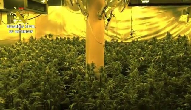 La Guardia Civil cierra la operación CRÓTALO con la explotación de la última fase y la detención de 8 personas - 1, Foto 1