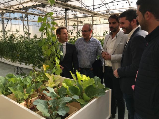 El CIFEA de Torre Pacheco iniciará en abril programas de formación y transferencia tecnológica relacionados con el Mar Menor - 1, Foto 1