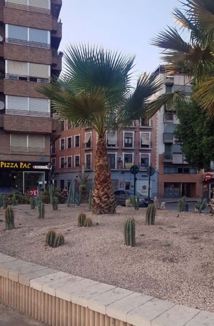 60 variedades de cactus para una xerojardinería pública más eficiente - 2, Foto 2