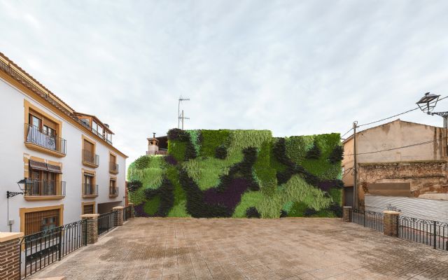 El PP propone la creación de nuevos jardines verticales con especies autóctonas en la plaza de Coros y Danzas y en las calles San Fernando y Galdo - 1, Foto 1