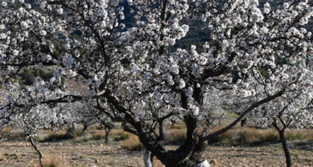 Jornada impacto inminente: las derivadas de la aplicación del nueva PAC en nuestra región - 1, Foto 1