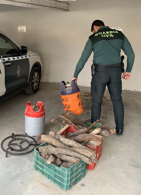 La Guardia Civil detiene a los sospechosos de robar en  una casa de campo de Bullas - 1, Foto 1